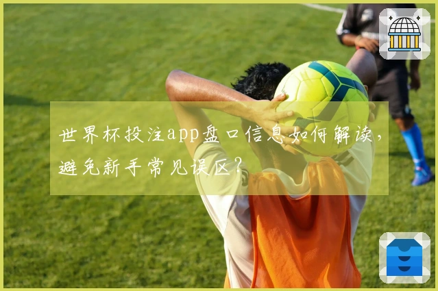 世界杯投注app盘口信息如何解读，避免新手常见误区？